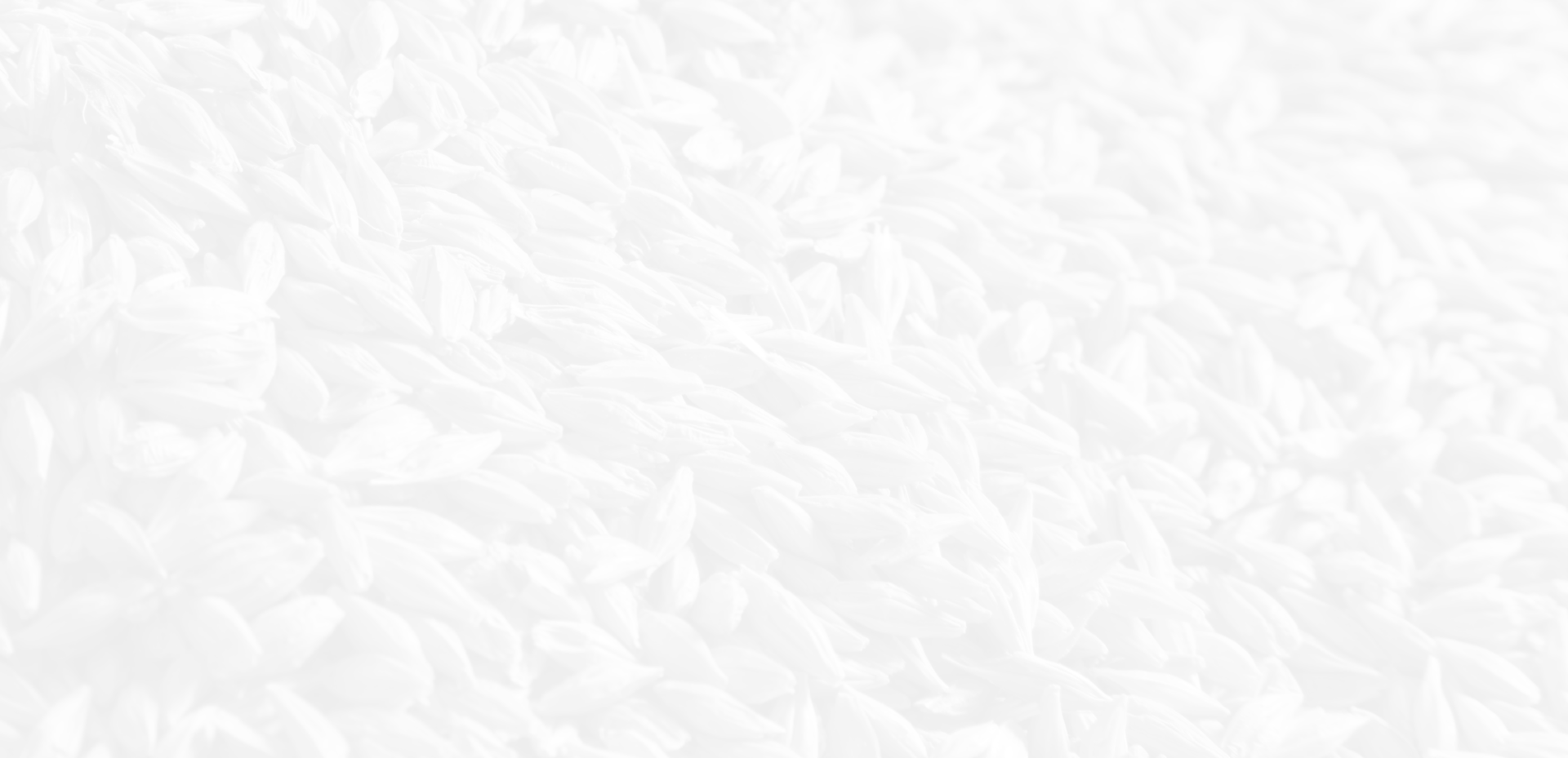 Footer BG